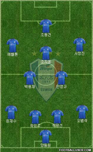 Suwon Samsung Blue Wings Formation 2012