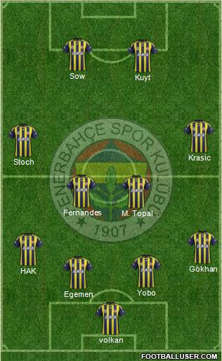 Fenerbahçe SK Formation 2012