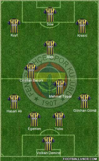 Fenerbahçe SK Formation 2012