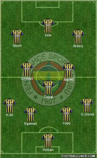 Fenerbahçe SK Formation 2012