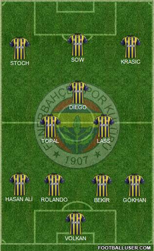 Fenerbahçe SK Formation 2012
