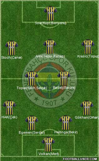 Fenerbahçe SK Formation 2012