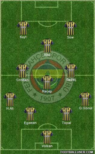 Fenerbahçe SK Formation 2012