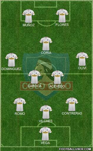 CSD Colo Colo Formation 2012