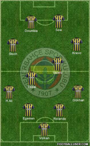 Fenerbahçe SK Formation 2012