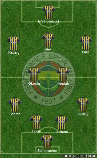 Fenerbahçe SK Formation 2012