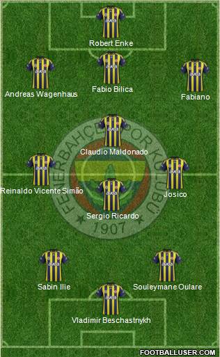 Fenerbahçe SK Formation 2012