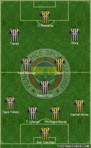 Fenerbahçe SK Formation 2012