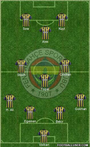 Fenerbahçe SK Formation 2012