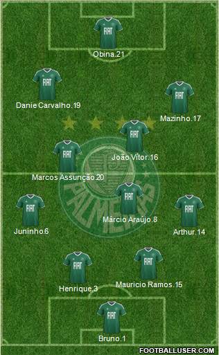 SE Palmeiras Formation 2012