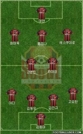 FC Seoul Formation 2012