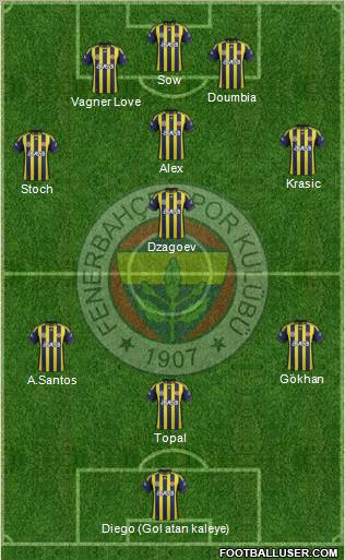 Fenerbahçe SK Formation 2012