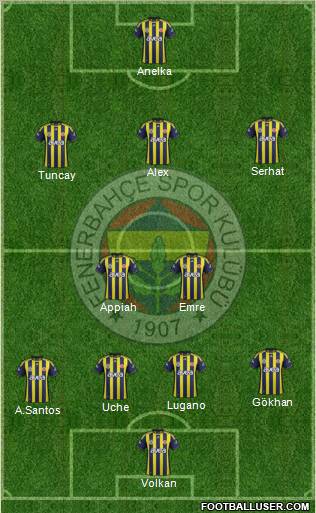 Fenerbahçe SK Formation 2012