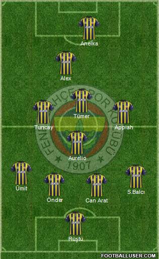 Fenerbahçe SK Formation 2012