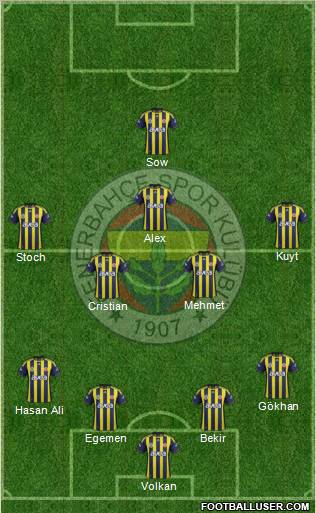 Fenerbahçe SK Formation 2012