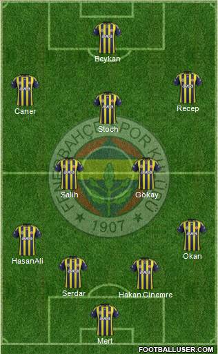 Fenerbahçe SK Formation 2012
