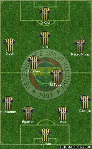 Fenerbahçe SK Formation 2012