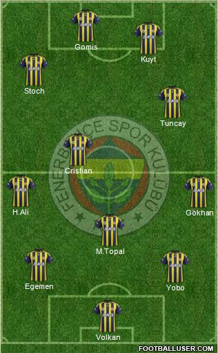 Fenerbahçe SK Formation 2012