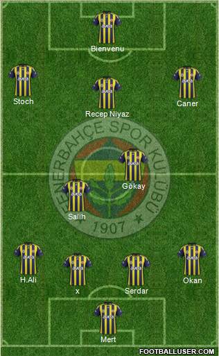 Fenerbahçe SK Formation 2012