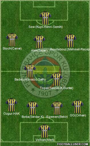 Fenerbahçe SK Formation 2012