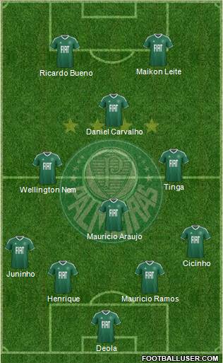 SE Palmeiras Formation 2012