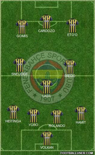 Fenerbahçe SK Formation 2012