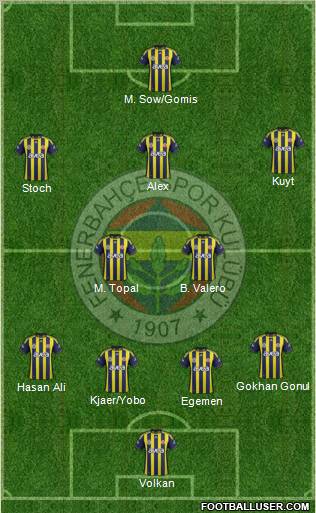 Fenerbahçe SK Formation 2012