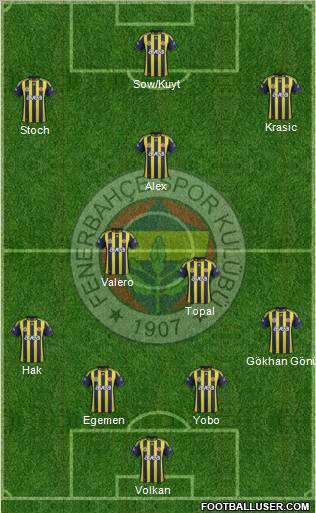 Fenerbahçe SK Formation 2012