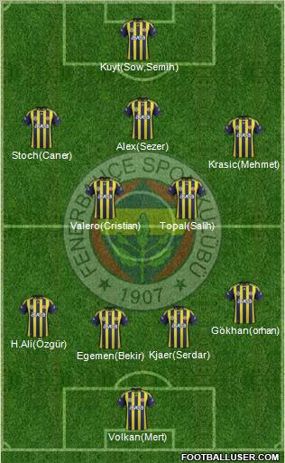 Fenerbahçe SK Formation 2012