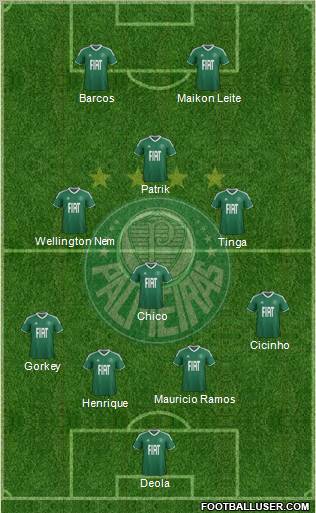 SE Palmeiras Formation 2012