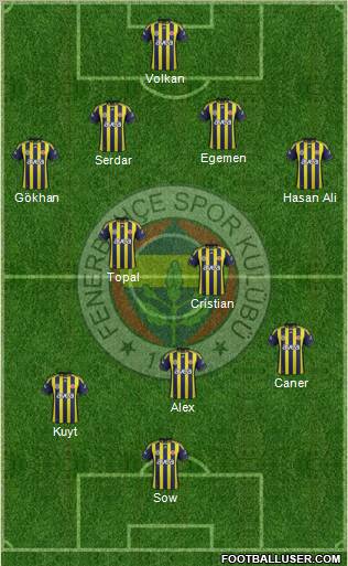 Fenerbahçe SK Formation 2012