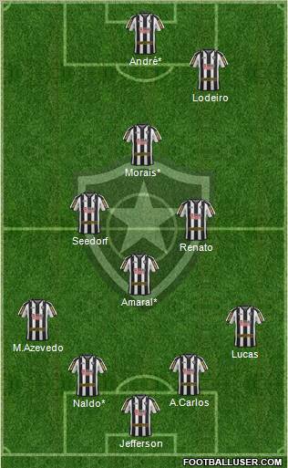 Botafogo FR Formation 2012