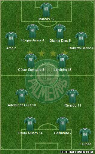 SE Palmeiras Formation 2012