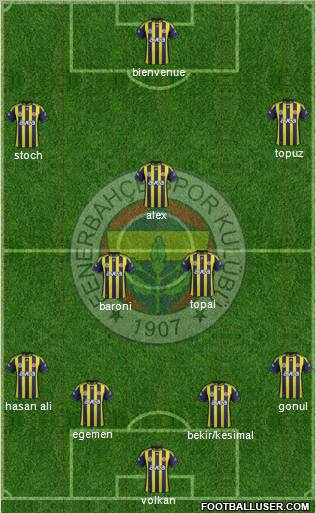 Fenerbahçe SK Formation 2012