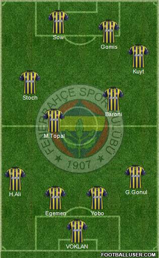 Fenerbahçe SK Formation 2012