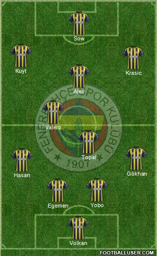 Fenerbahçe SK Formation 2012