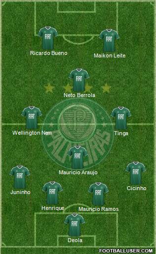 SE Palmeiras Formation 2012