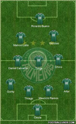 SE Palmeiras Formation 2012