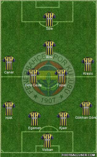 Fenerbahçe SK Formation 2012