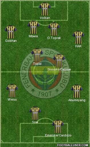 Fenerbahçe SK Formation 2012