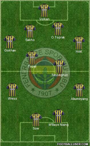 Fenerbahçe SK Formation 2012