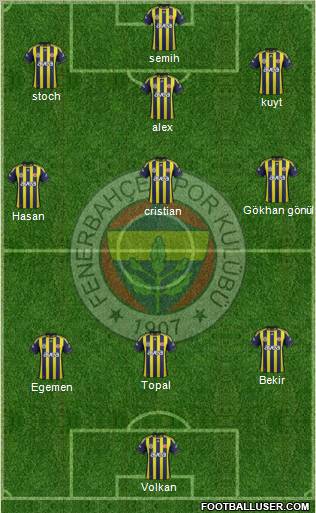Fenerbahçe SK Formation 2012