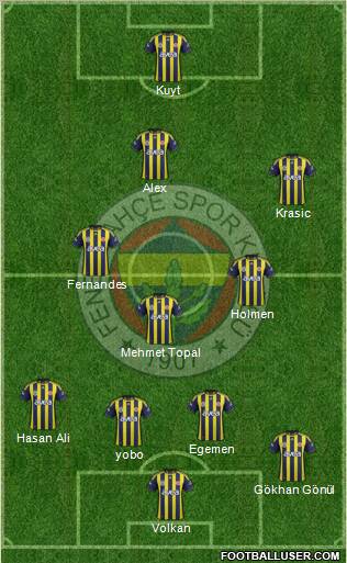 Fenerbahçe SK Formation 2012