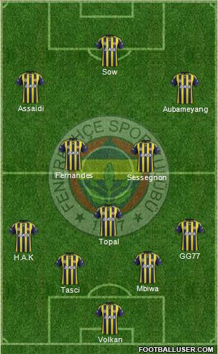 Fenerbahçe SK Formation 2012
