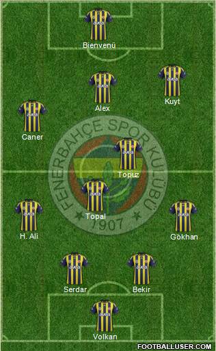Fenerbahçe SK Formation 2012