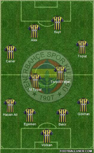 Fenerbahçe SK Formation 2012