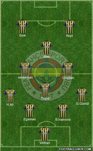 Fenerbahçe SK Formation 2012