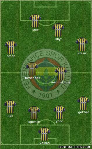 Fenerbahçe SK Formation 2012