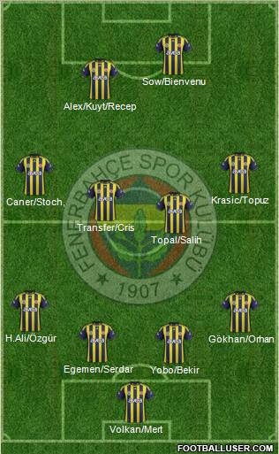 Fenerbahçe SK Formation 2012