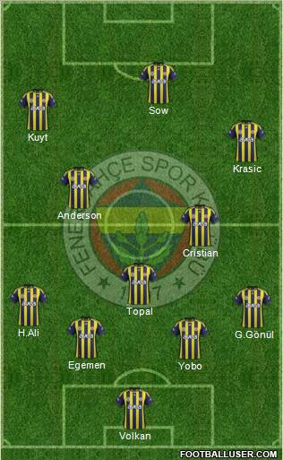 Fenerbahçe SK Formation 2012